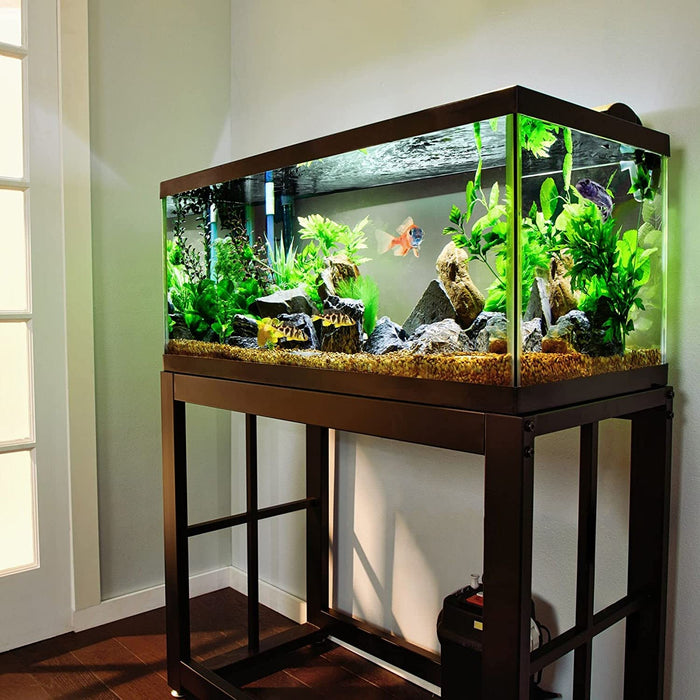 The Best Fish Tank Plants for Beginners