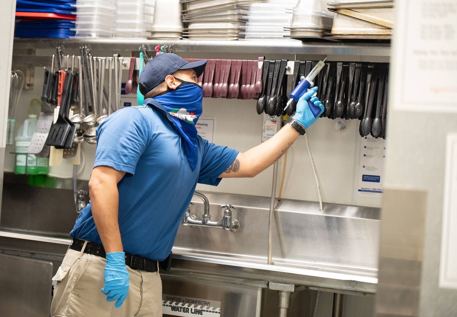 Commercial Pest Control: A Necessity for Business Owners
